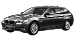 BMW F11 B255C Fault Code